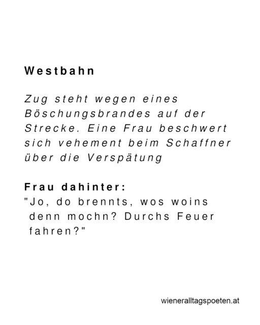 Immer diese Ausreden warum der Zug Verspätung hat #wieneralltagspoeten Gehört von @p.hlzl