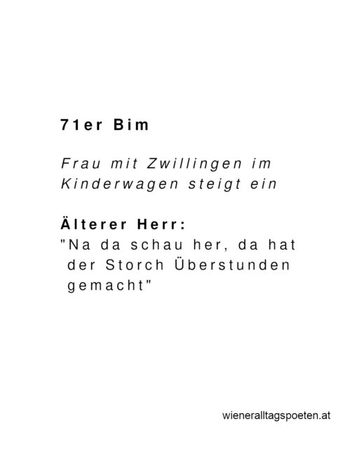 Der Wiener und seine Liebe, alles um ihn herum zu kommentieren #wieneralltagspoeten Gehört von @ivan_filipovic_tesla